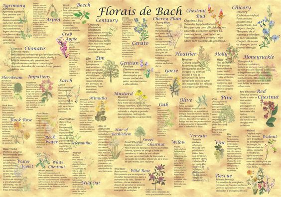 Poster 012 - Florais de Bach