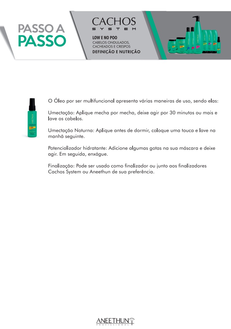 Aneethun Kit Cachos System Shampoo E Máscara