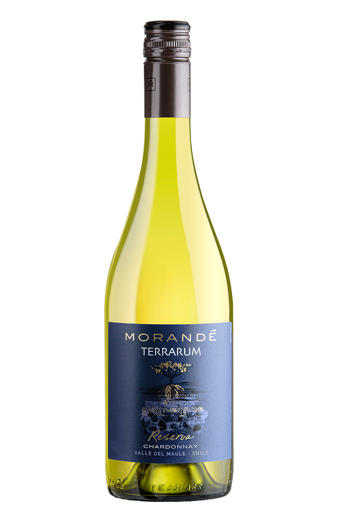 Morandé Terrarum Reserva Chardonnay 2020