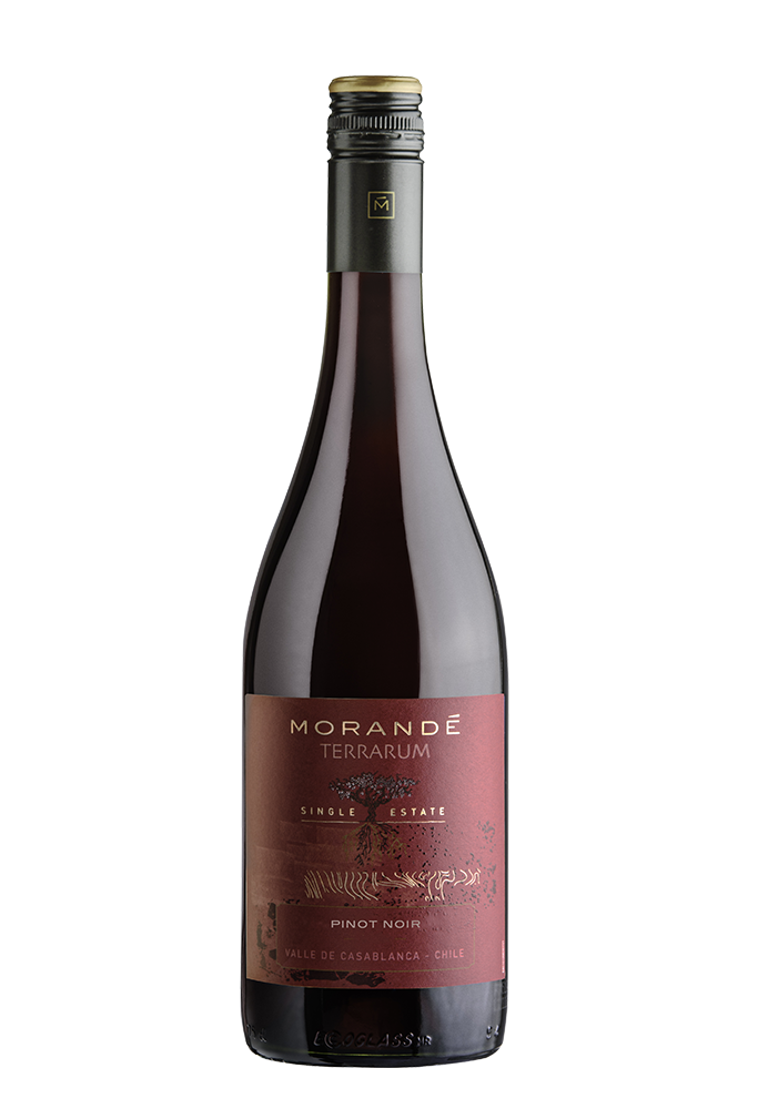 Morandé Terrarum Single Estate Pinot Noir  2019