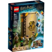 LEGO Harry Potter - Momento Hogwarts: Aula de Herbologia 76384