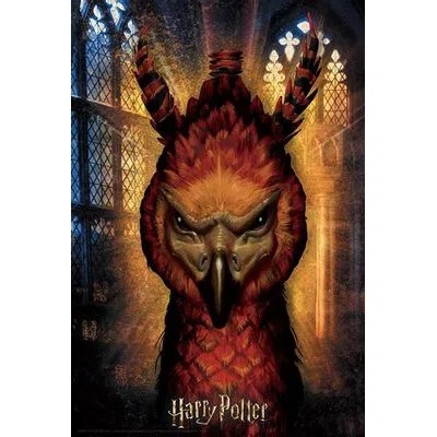 Quebra Cabeça 3D Fawkes Harry Potter 300 peças - Multikids - BR1324