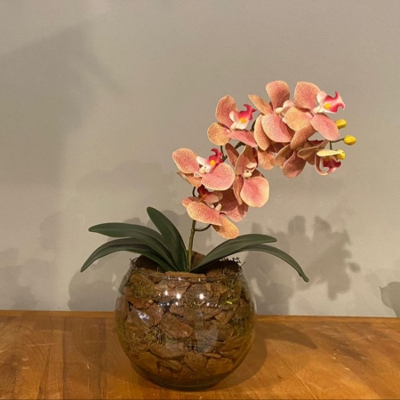 Arranjo de Orquídea Rosa Centro de Mesa no Vaso Transparente