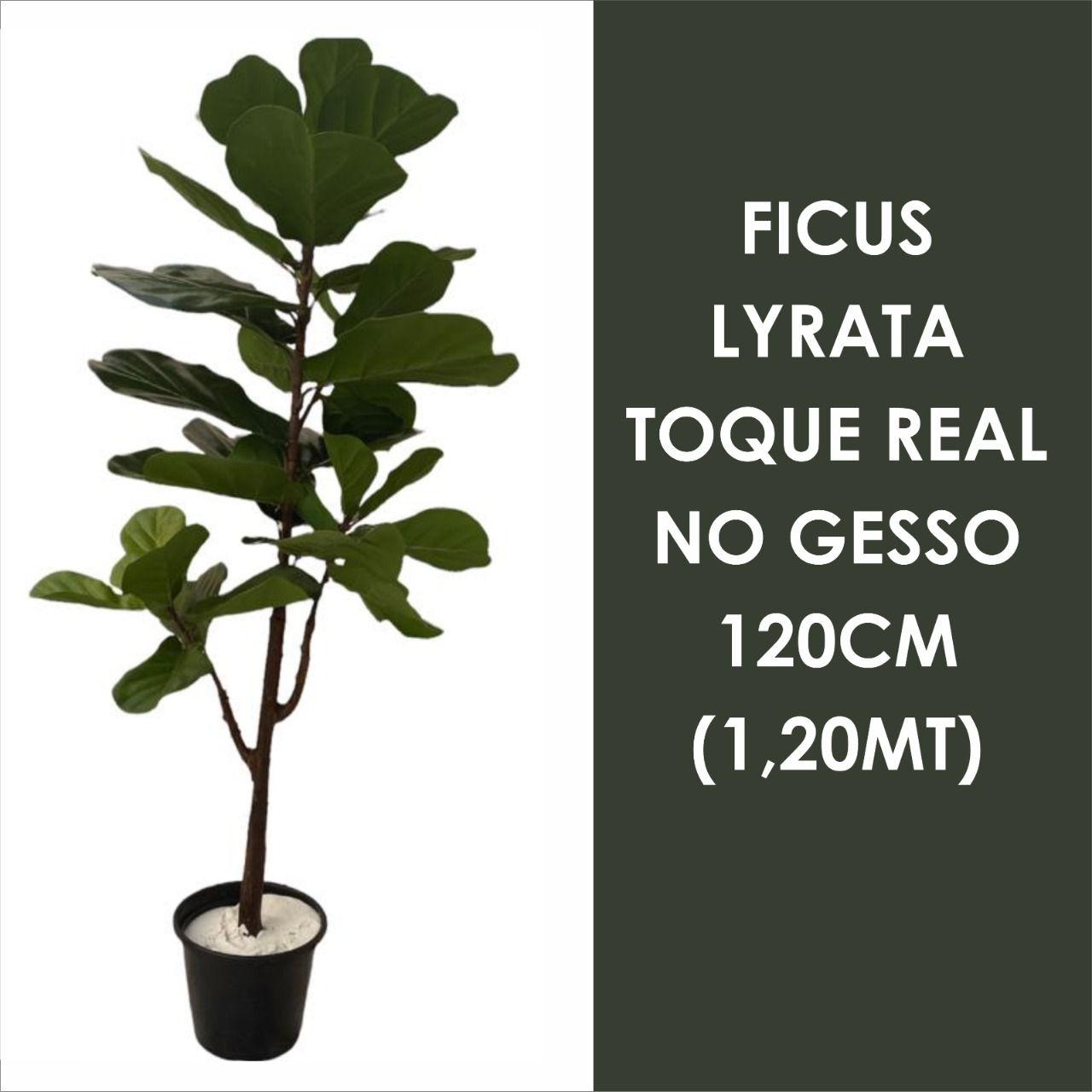 Ficus Lyrata  Artificial 120m Planta com Toque Real no Gesso
