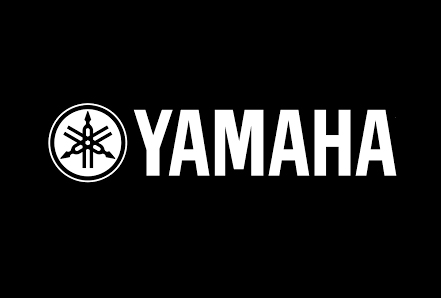 WOOFER YAMAHA YK516A00 (HS8S)