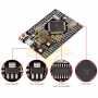 Arduino Mega 2560 Pro Mini (EMBED)