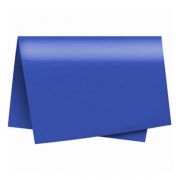 Papel Color Set 48 x 66cm Azul Royal Nova Print