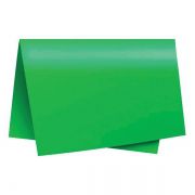 Papel Color Set 48 x 66cm Verde Bandeira Nova Print
