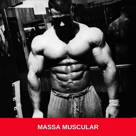 massa muscular