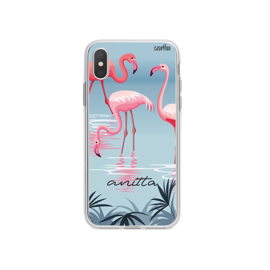 Case Flamingos do Colorado