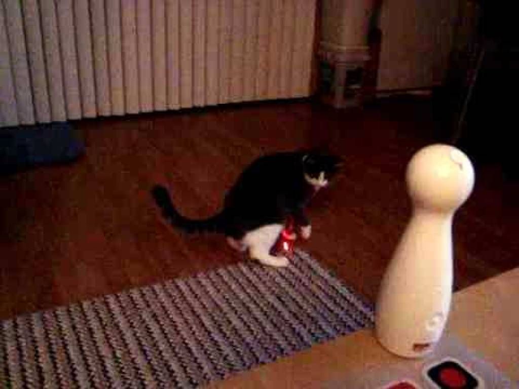 Brinquedo para Gatos Automático com movimentos a laser Frolicat Bolt