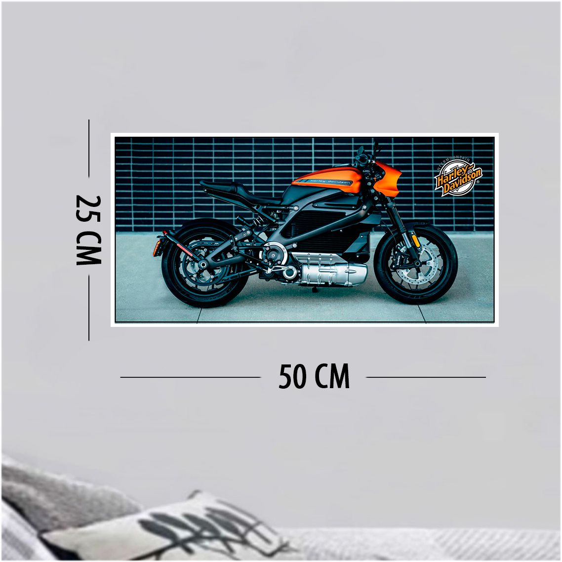 Placas Decorativas Harley Davidson 50 x 25 cm