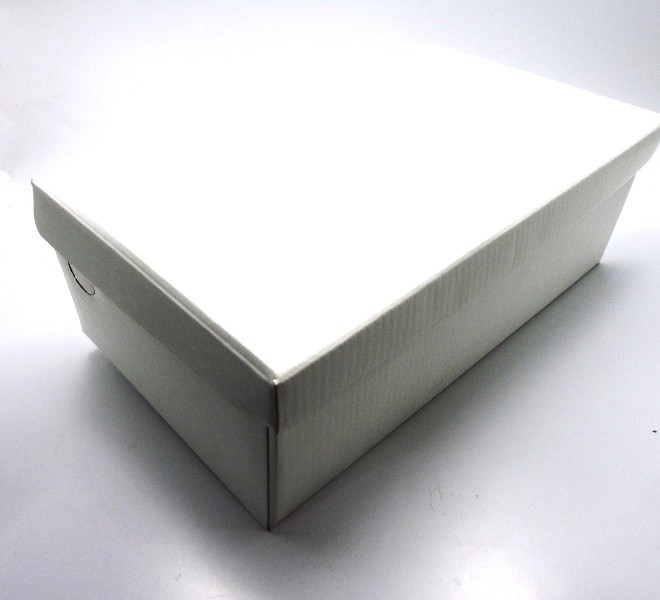 100 caixas adulto - 28 X 16 cm - Branco