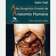 Livro - Atlas Anatomia Humana - Tórax, Abdome e Pelve - Thiel