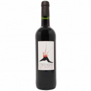 Vinho Tinto Terres Noires Merlot Cabernet Franc - 750ml -