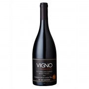 Vigno Carignan Single Vineyard El Leon