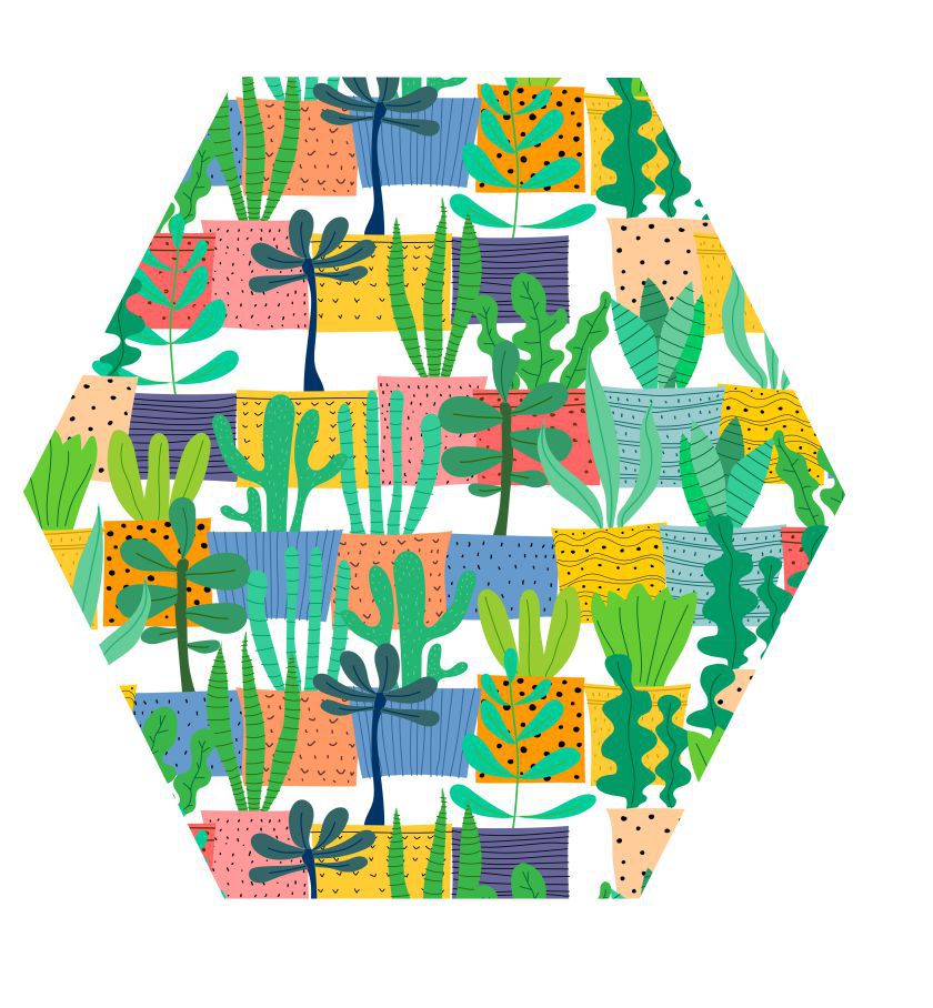 Quadro Decorativo Plantinhas - Hexagonal Color