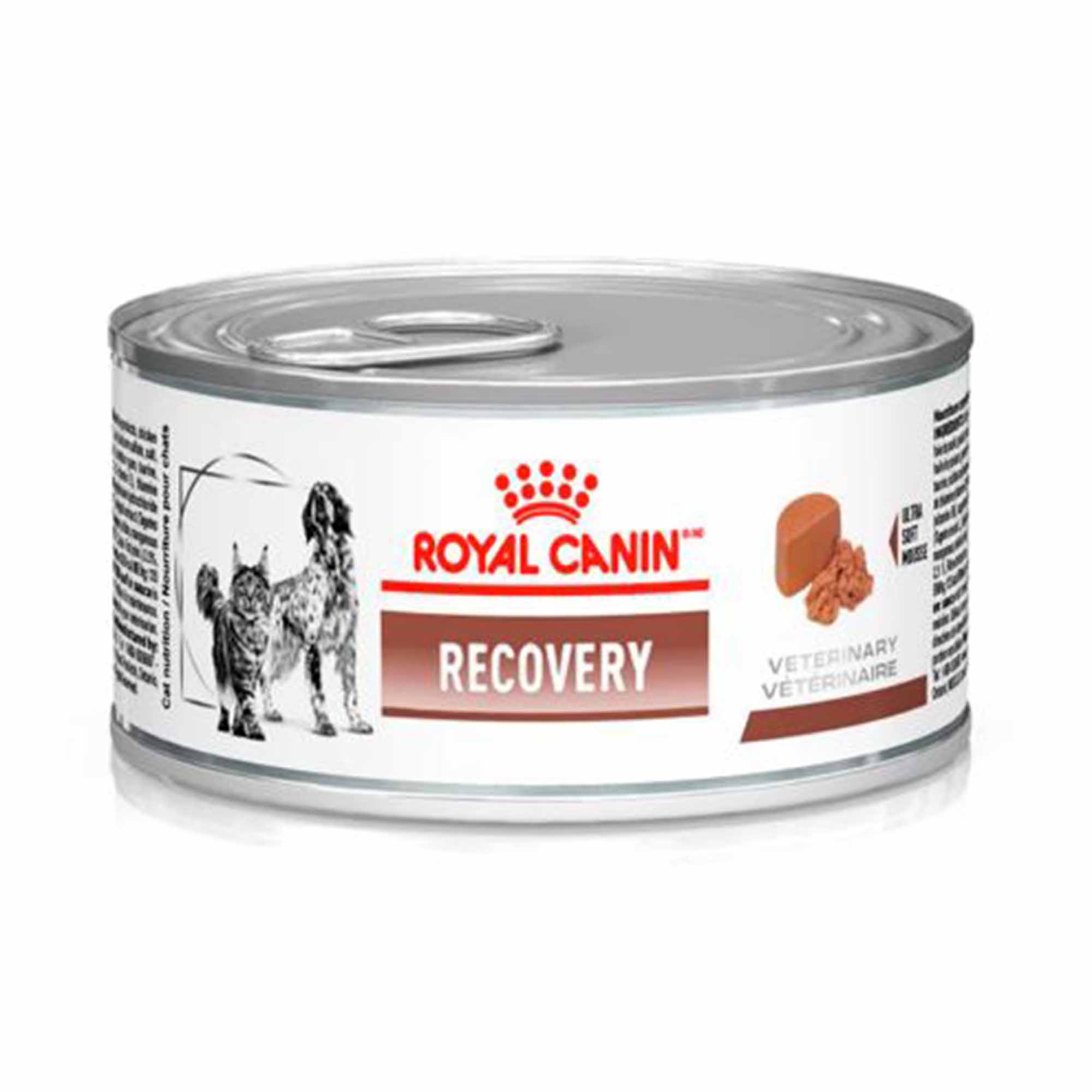 Ração Úmida Royal Canin Recovery para Cães e Gatos 195g
