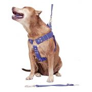 Coleira Peitoral Cachorro Guia Adaptador Cinto Segurança Tamanho G - Cor Azul 