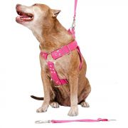 Coleira Peitoral Cachorro Porte Maior Guia Adaptador Cinto Segurança Tamanho M - Cor Rosa
