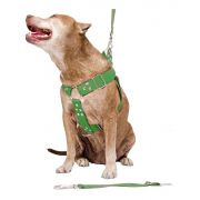Coleira Peitoral Cachorro Porte Maior Guia Adaptador Cinto Segurança Tamanho M - Cor Verde