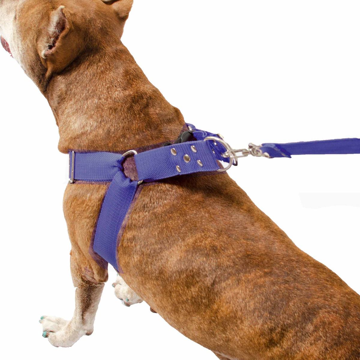 Coleira Peitoral Cachorro Guia Adaptador Cinto Segurança Tamanho G - Cor Azul 