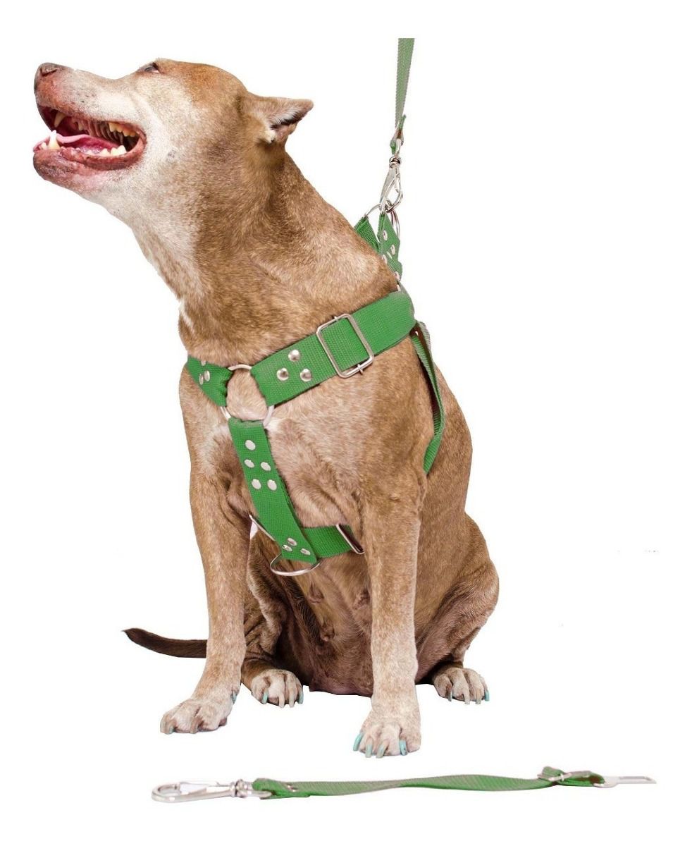 Coleira Peitoral Cachorro Guia Adaptador Cinto Segurança Tamanho G - Cor Verde