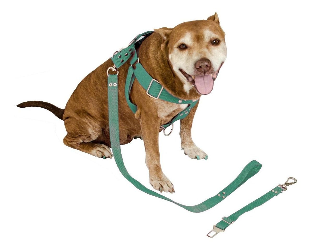 Coleira Peitoral Cachorro Guia Adaptador Cinto Segurança Tamanho G - Cor Verde