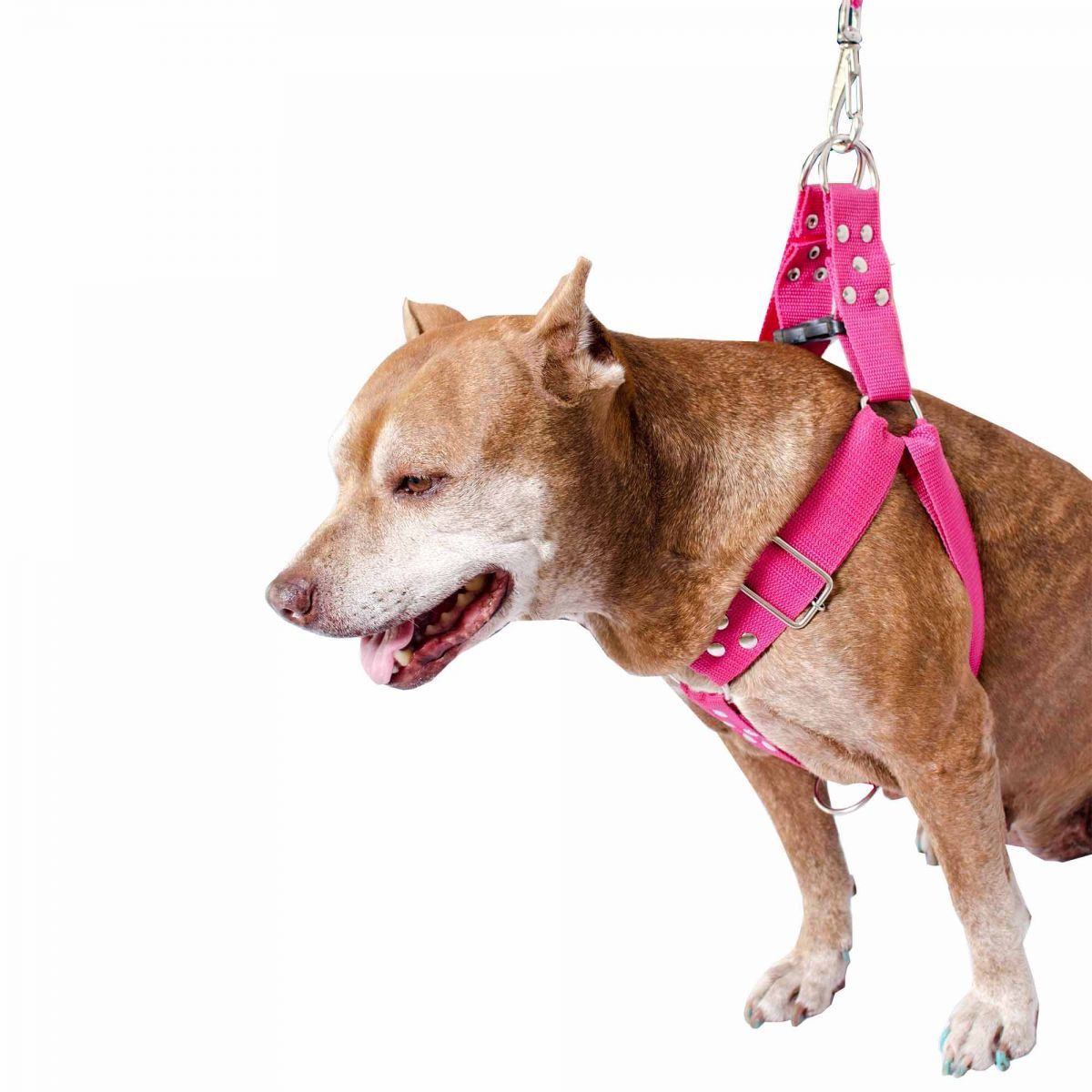 Coleira Peitoral Cachorro Porte Maior Guia Adaptador Cinto Segurança Tamanho M - Cor Rosa