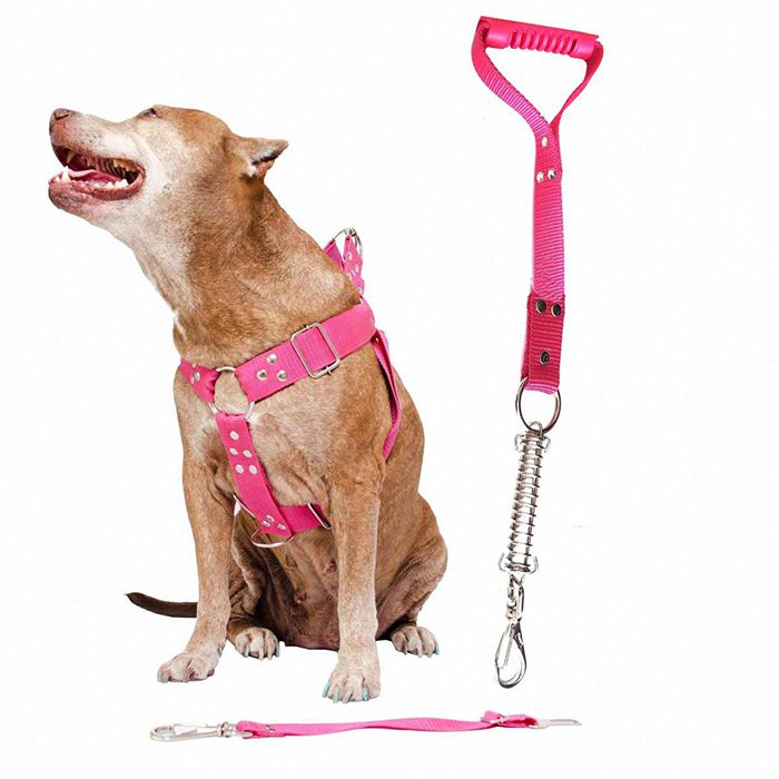 Coleira Peitoral Guia Cinto Segurança Cachorro Doberman Pitbull Anti Puxao - G Rosa