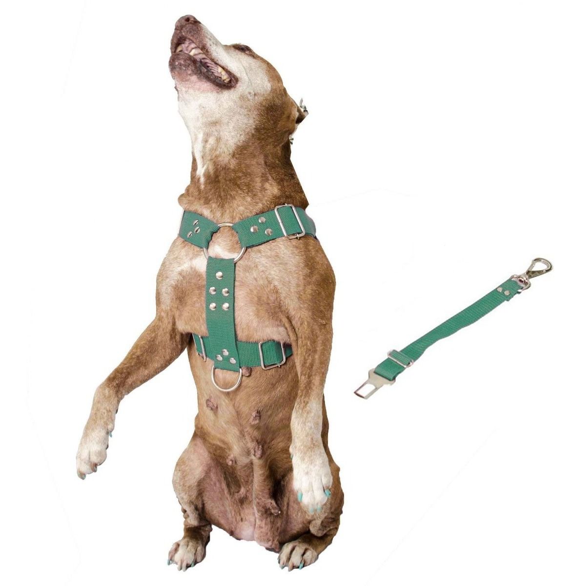 Coleira Peitoral Guia Cinto Segurança Cachorro Doberman Pitbull Anti Puxao - G Verde