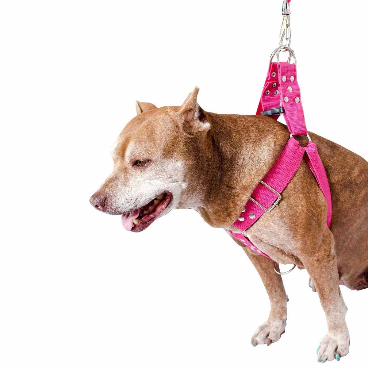 Coleira Peitoral Guia Cinto Segurança Cachorro Doberman Pitbull Anti Puxao - M Rosa