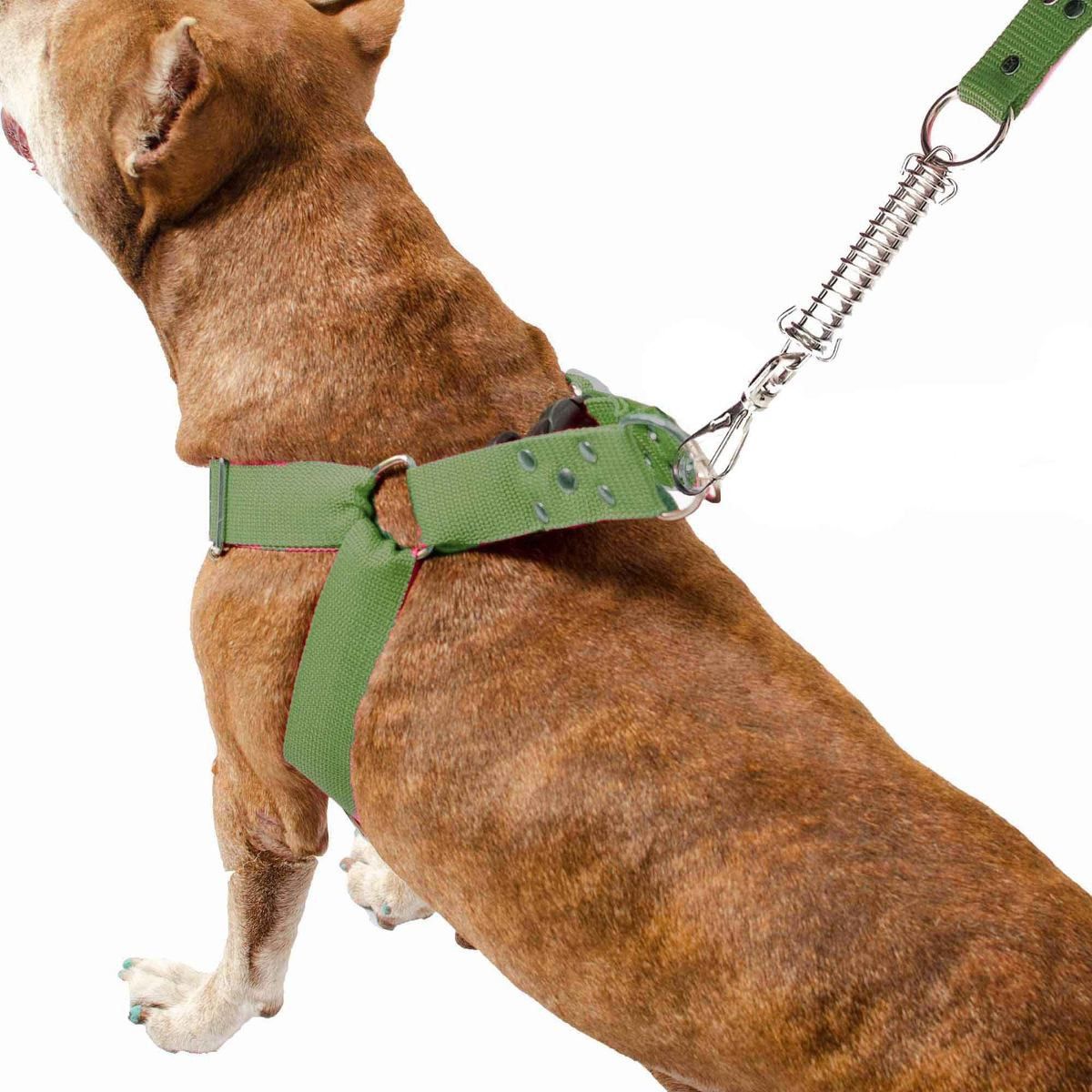  Coleira Peitoral Guia Cinto Segurança Cachorro Doberman Pitbull Anti Puxao - M Verde