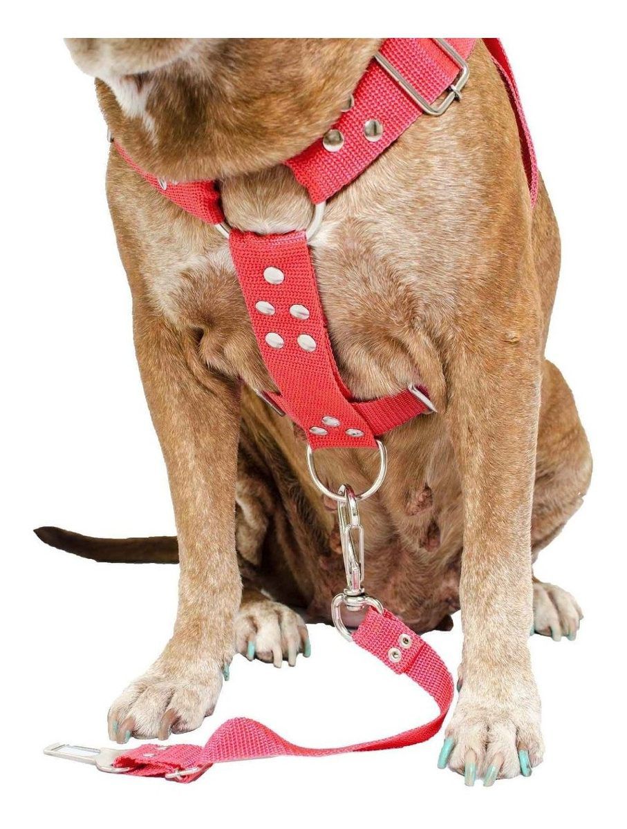 Kit 2x Coleira Peitoral Cachorro Guia Adaptador Cinto Segurança Tamanho G - Cores Preta + Vermelha