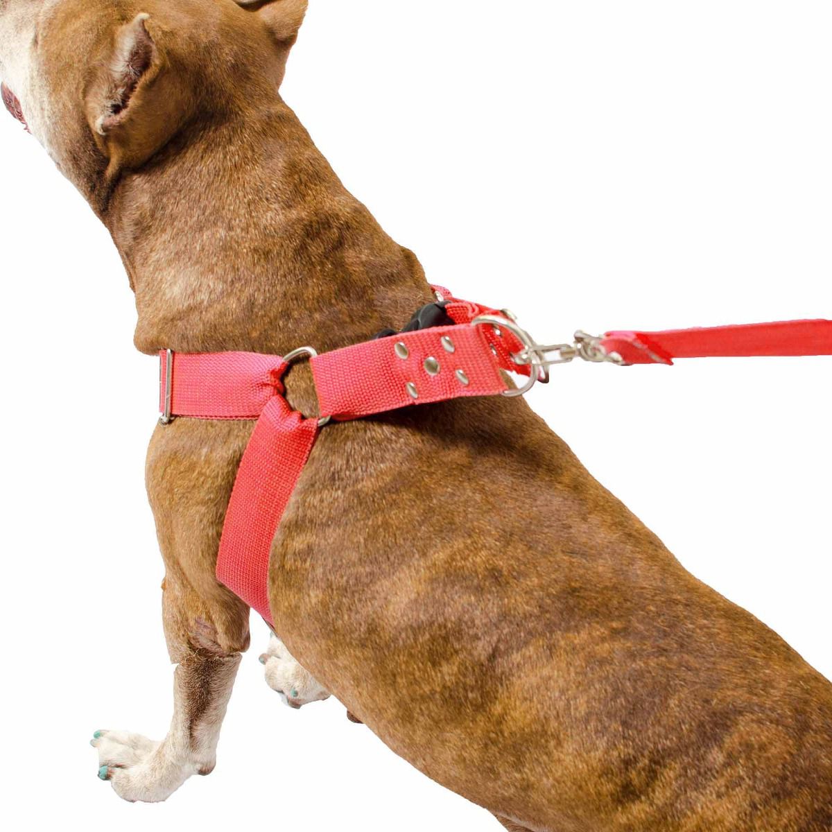 Kit 2x Coleira Peitoral Cachorro Porte Maior Guia Adaptador Cinto Segurança Tamanho M - Cores Preta + Vermelha