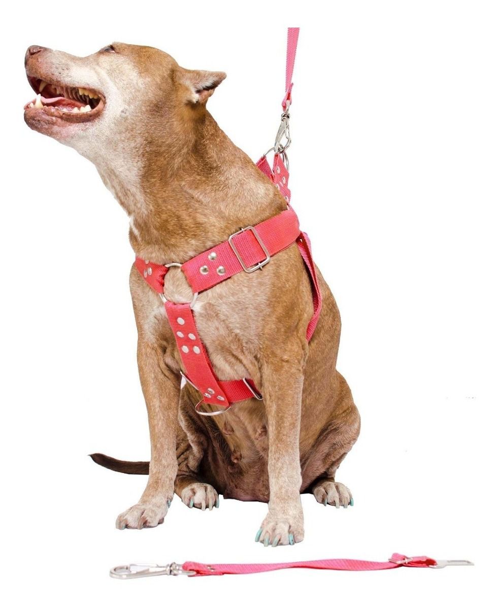 Kit 2x Coleira Peitoral Cachorro Porte Maior Guia Adaptador Cinto Segurança Tamanho M - Cores Rosa + Vermelha