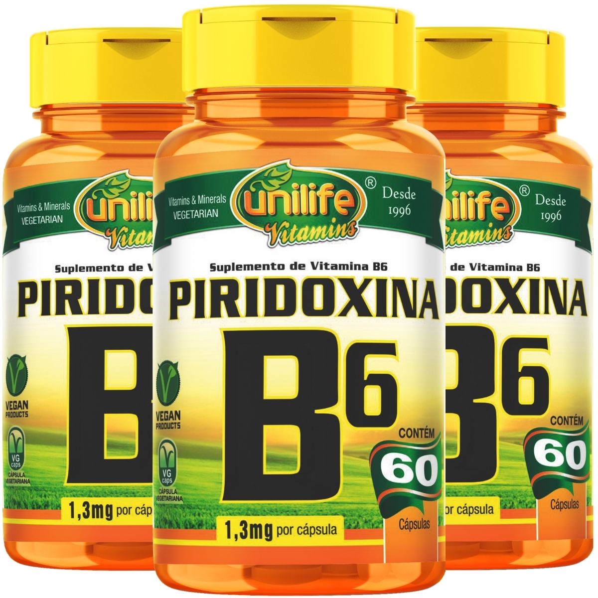 Kit 3 Vitamina B6 Piridoxina 60 Cápsulas 500mg - Unilife