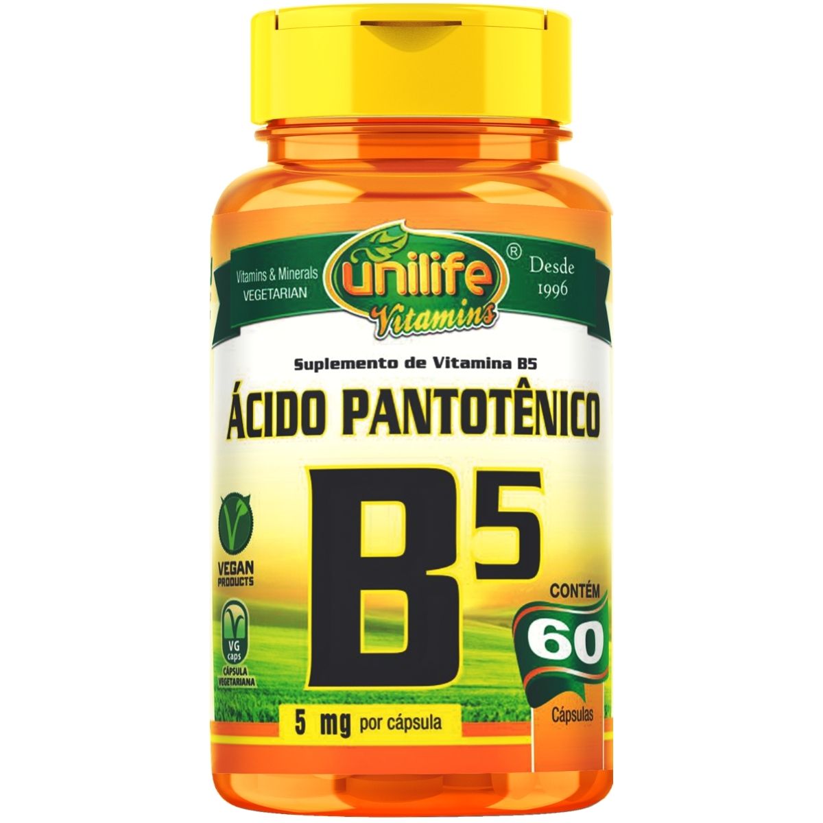 Vitamina B5 Ácido Pantotênico 60 Cáps - Unilife