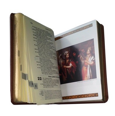 Bíblia Ilustrada Luxo - Média - Marrom