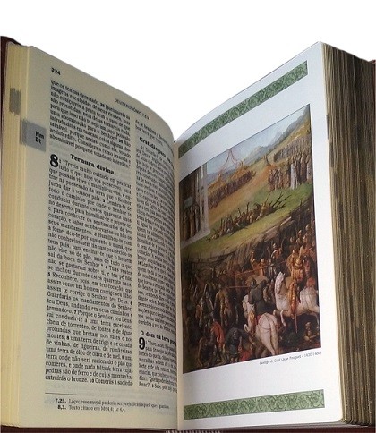 Bíblia Ilustrada Luxo - Média - Marrom