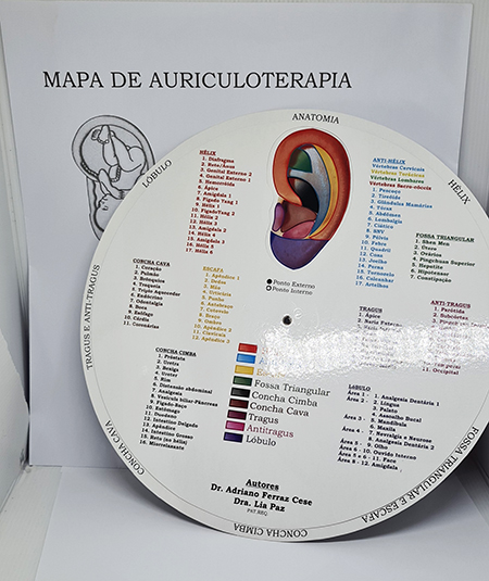 Mapa Auricular  Dra. Lia Paz