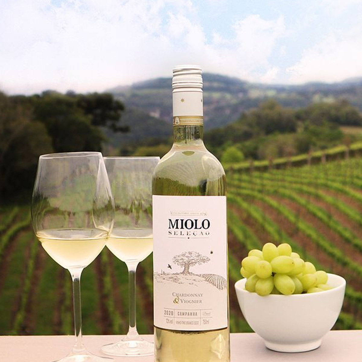 Vinho Miolo Seleção Chardonnay e Viognier 750ml
