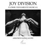 Joy Division -  Closer: testamento musical