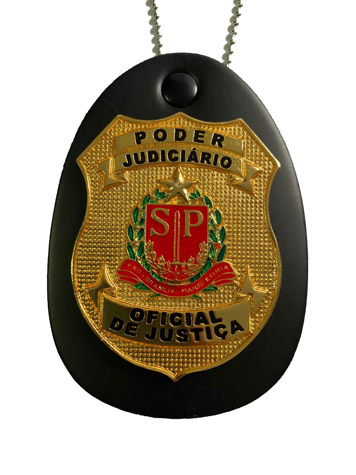 PODER JUDICIÁRIO DE SÃO PAULO - OFICIAL DE JUSTIÇA
