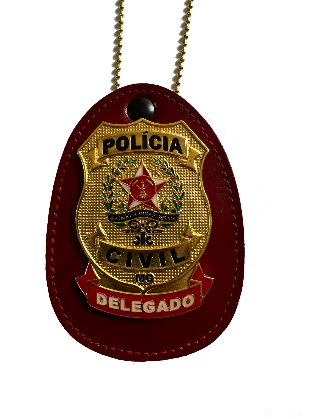 POLÍCIA CIVIL DE MINAS GERAIS DELEGADO PCMG - MOD NOVO