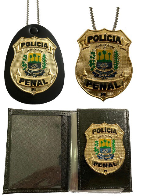 POLÍCIA PENAL PIAUÍ - PPPI