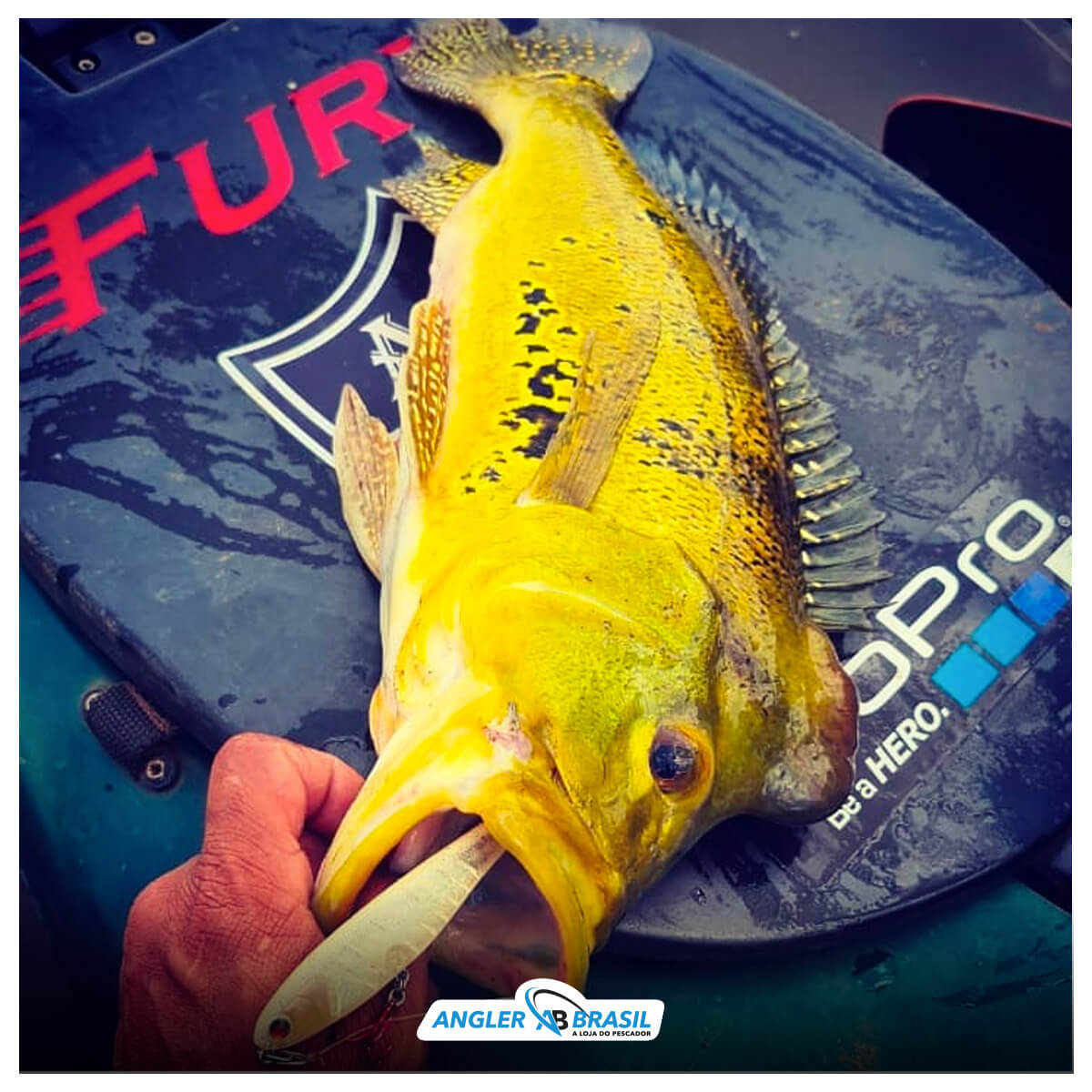 ISCA FURY FISHING NINJA 85 - 8,5CM 9,6G