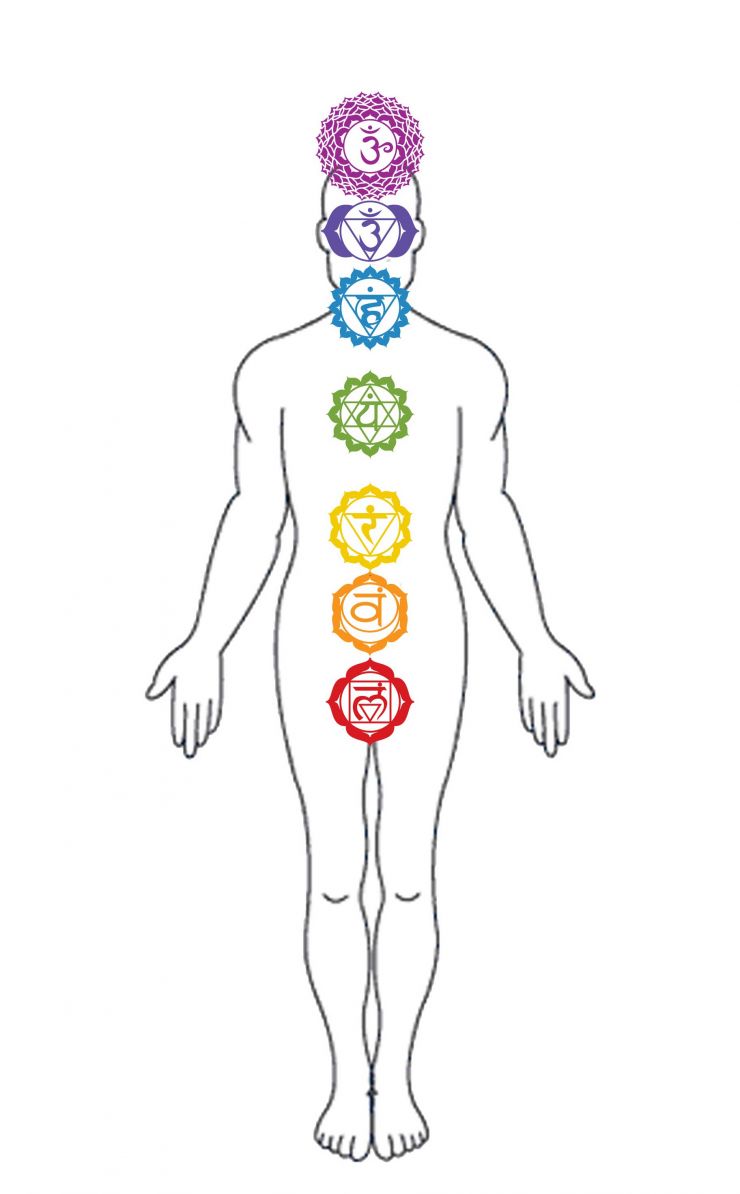 Grafico- Corpo humano 7 chakras