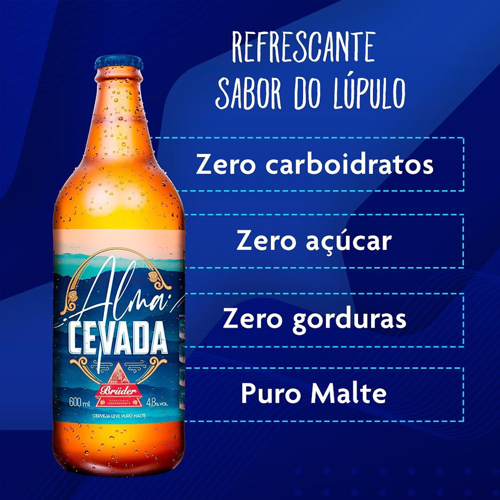 Kit Cerveja Alma Cevada Bruder 600 ml (6 unidades) - TLC Tudo Low Carb