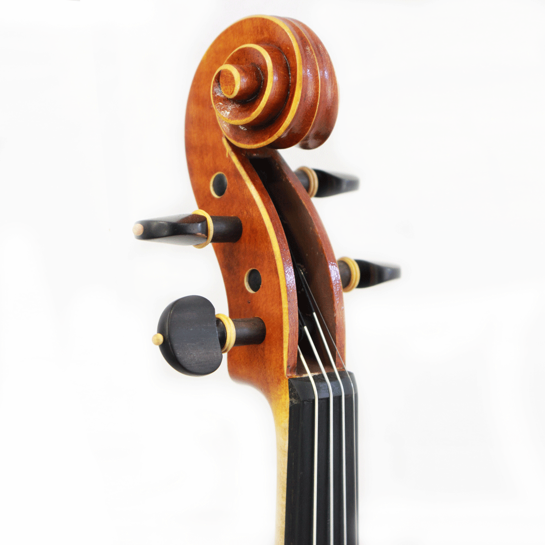 Violino Guarneri Atelier Orquezz Premium 4/4 #7